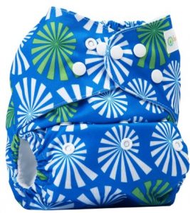 Bumberry Pocket Diaper and 1 Microfiber Insert