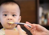 7 Best Baby Food in India