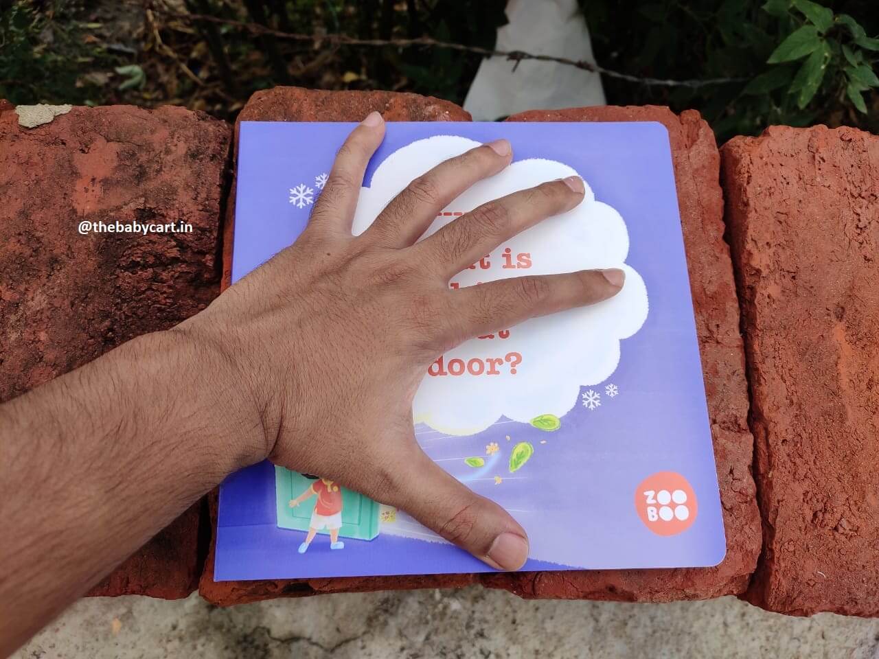 Zooboo book - size of a palm