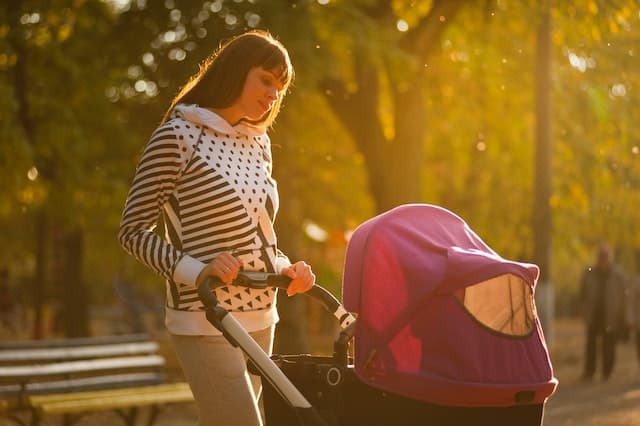 5 Best Baby Strollers in India Reviews 1